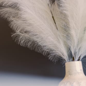 Feathers in vase