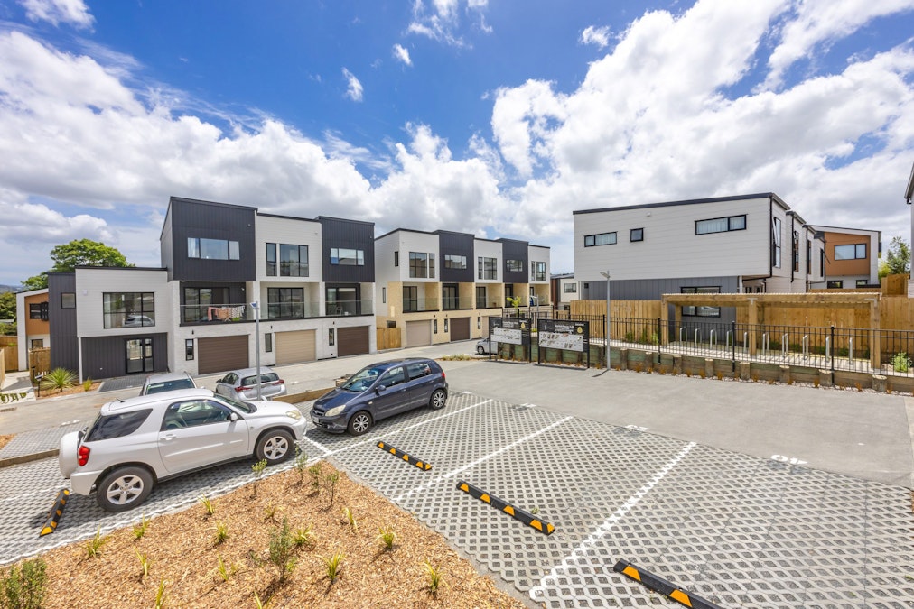 2 Larch St Avondale - landscaping project in Auckland (photo 1)