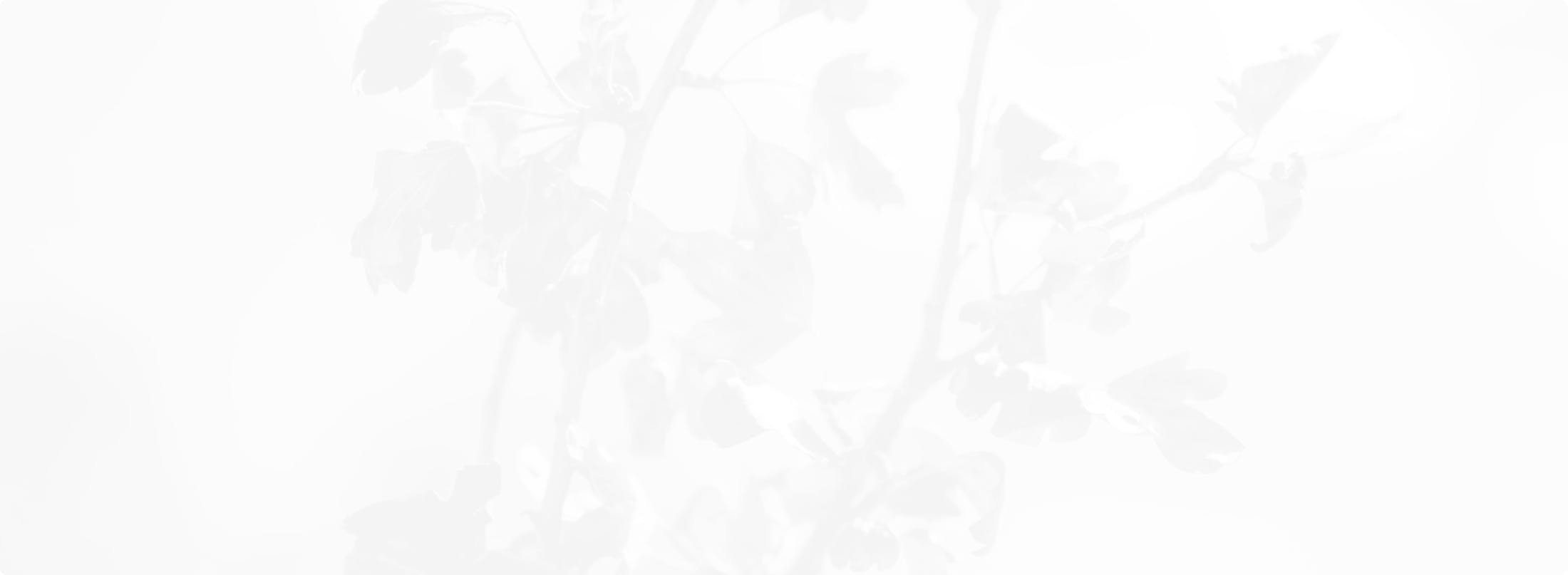 tree branch, light gray