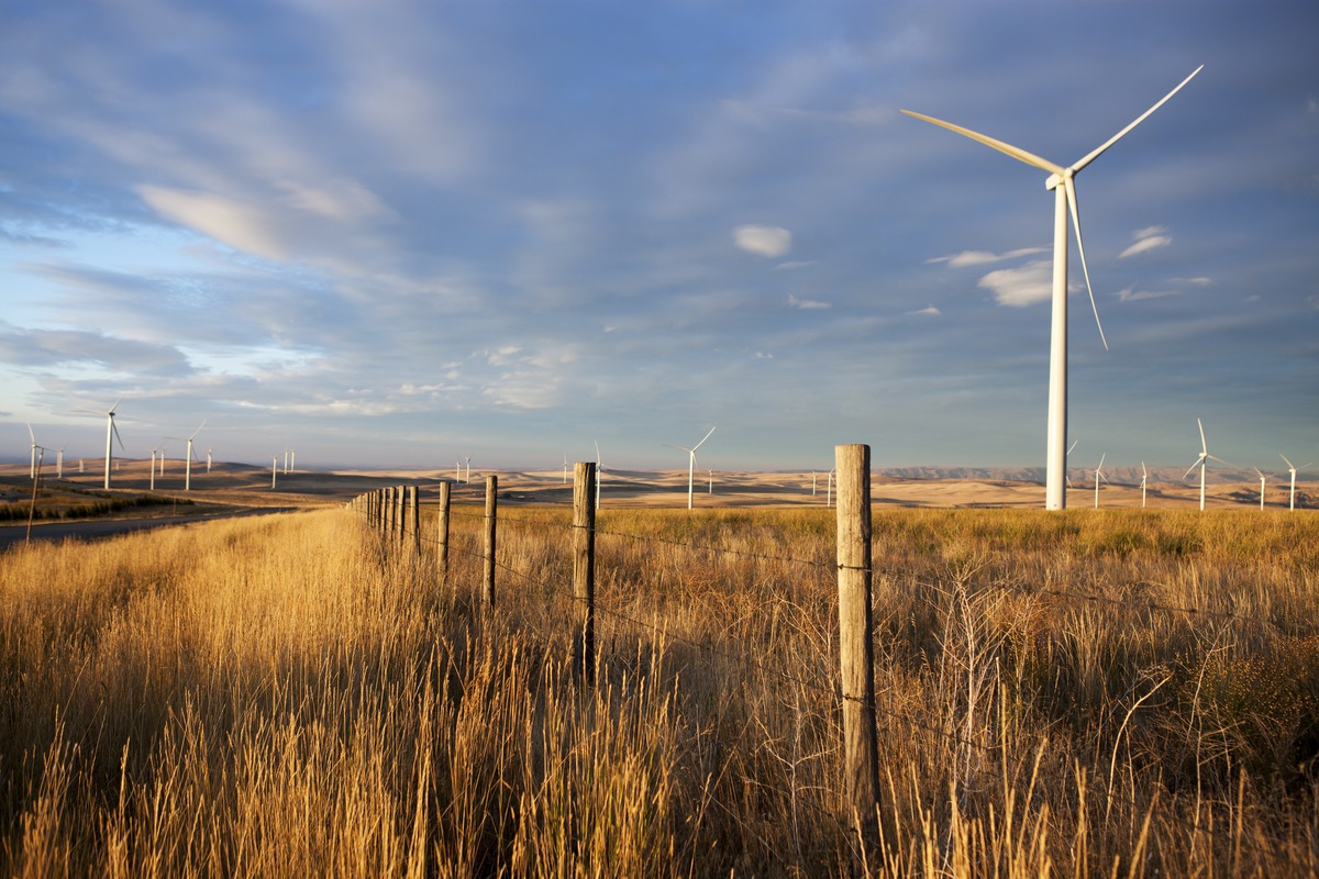 Photo of wind farm