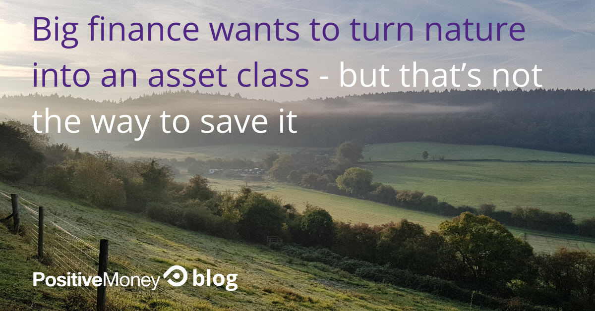 Big finance wants to turn nature into an asset class – but that’s not the way to save it