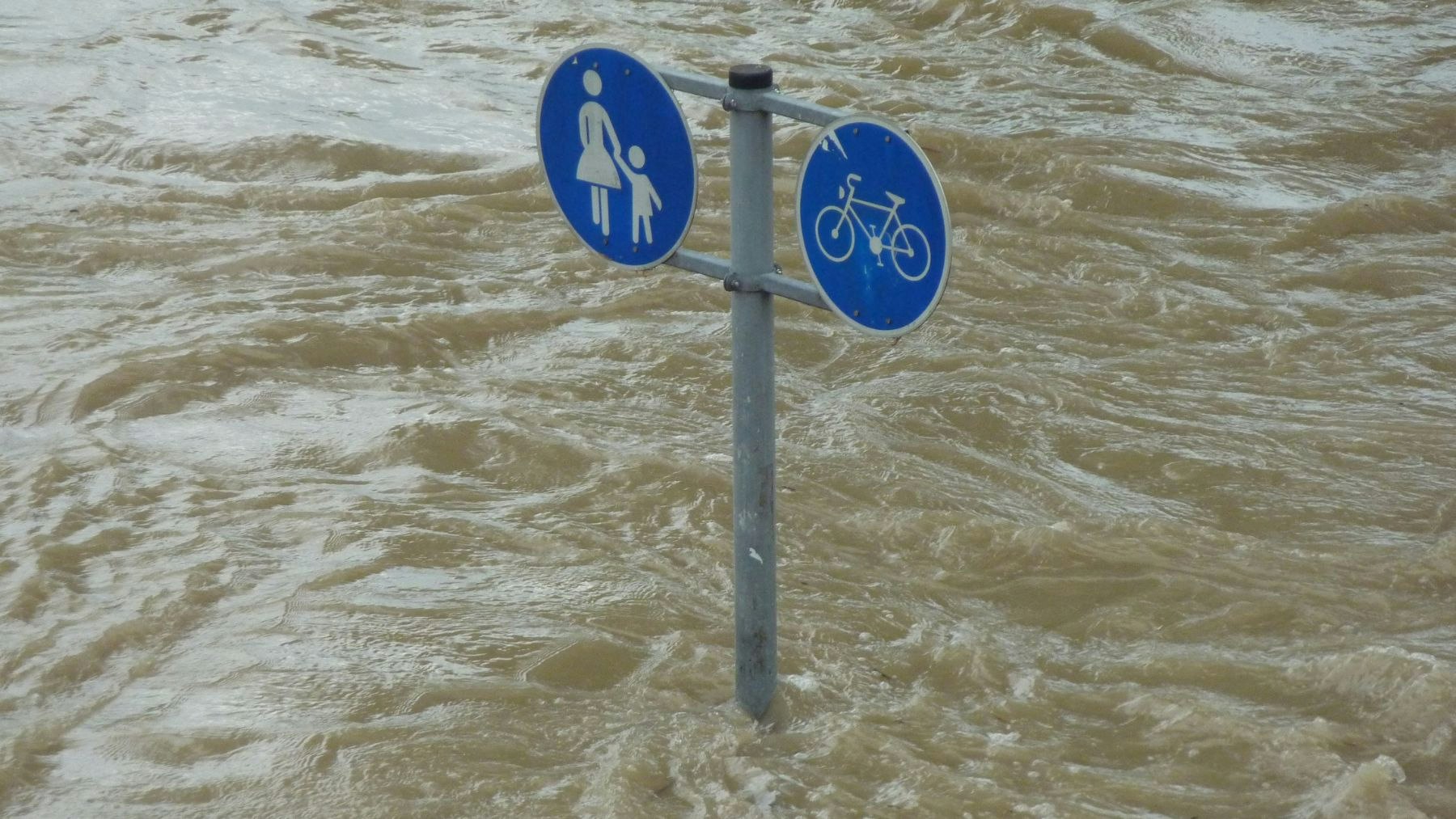 Navigating the flood: the critical need for climate risk disclosure in adapting to climate change