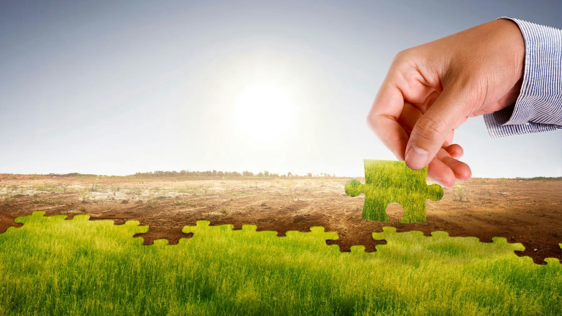 The ECB&#8217;s role in climate change