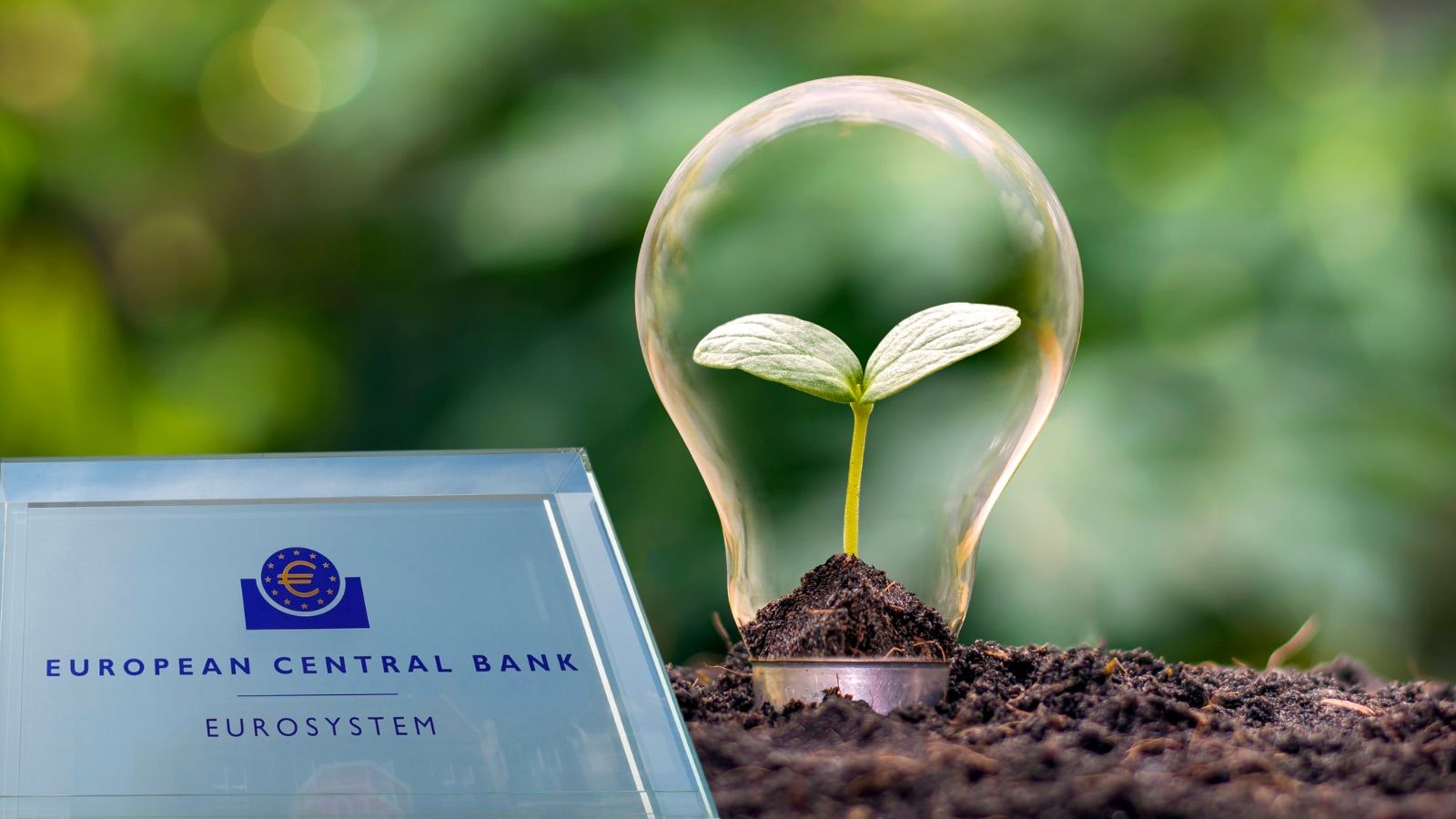 Is the ECB’s corporate portfolio really getting greener? 