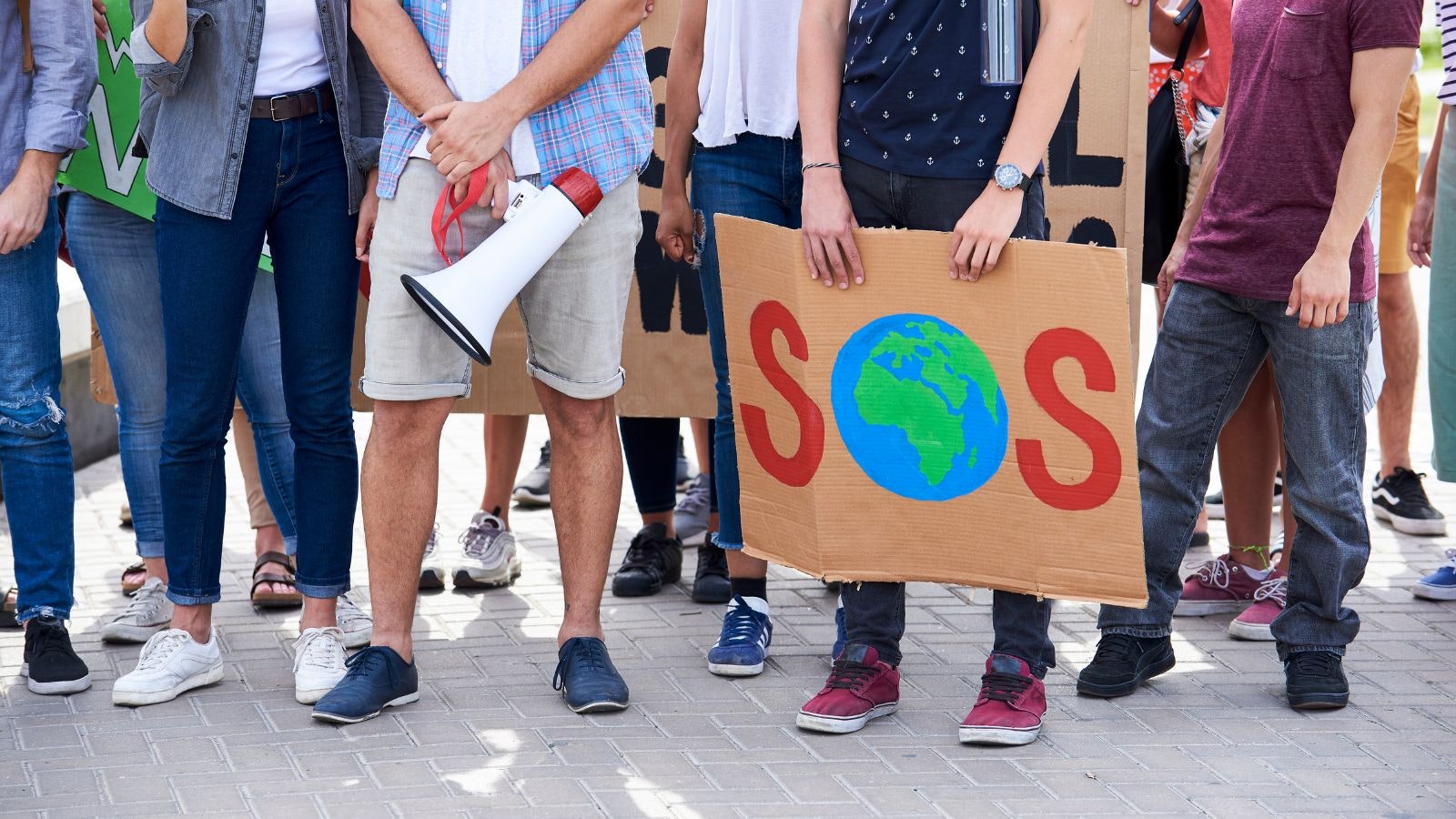 A people’s monetary dialogue: what our supporters want from the ECB