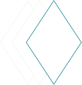 DigitXS
