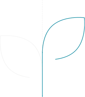 DigitXS