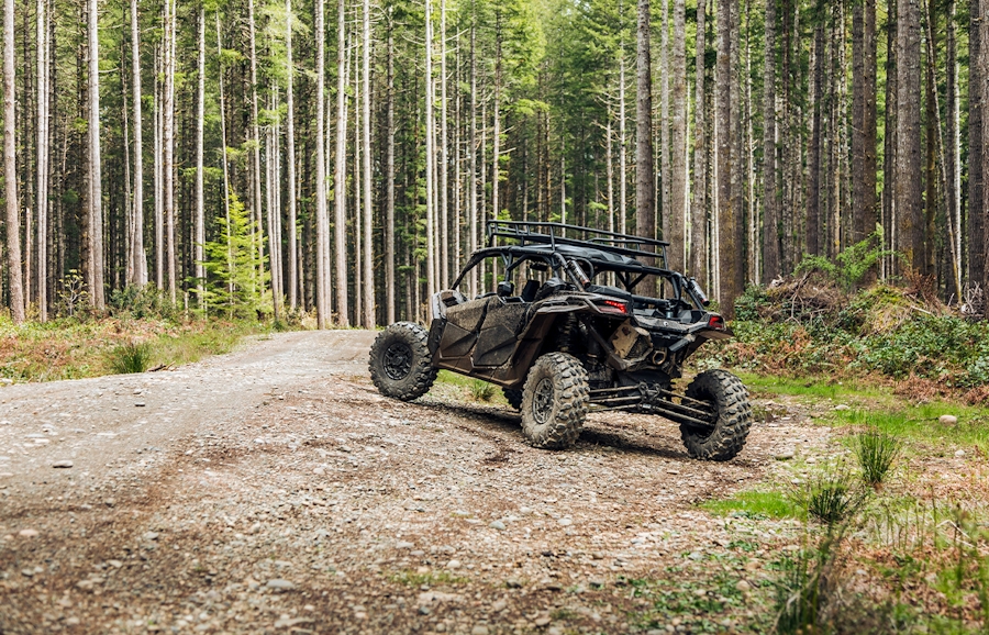 atv in woods