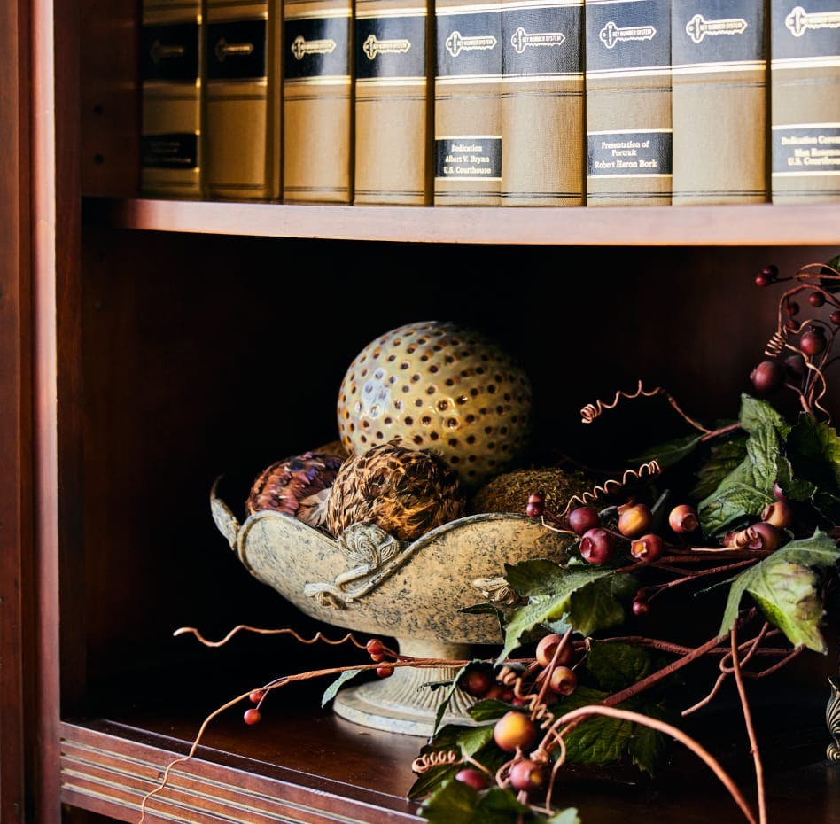 photo of Stipe & Belote's office - legal books on a chelf with decorative bowl and plant