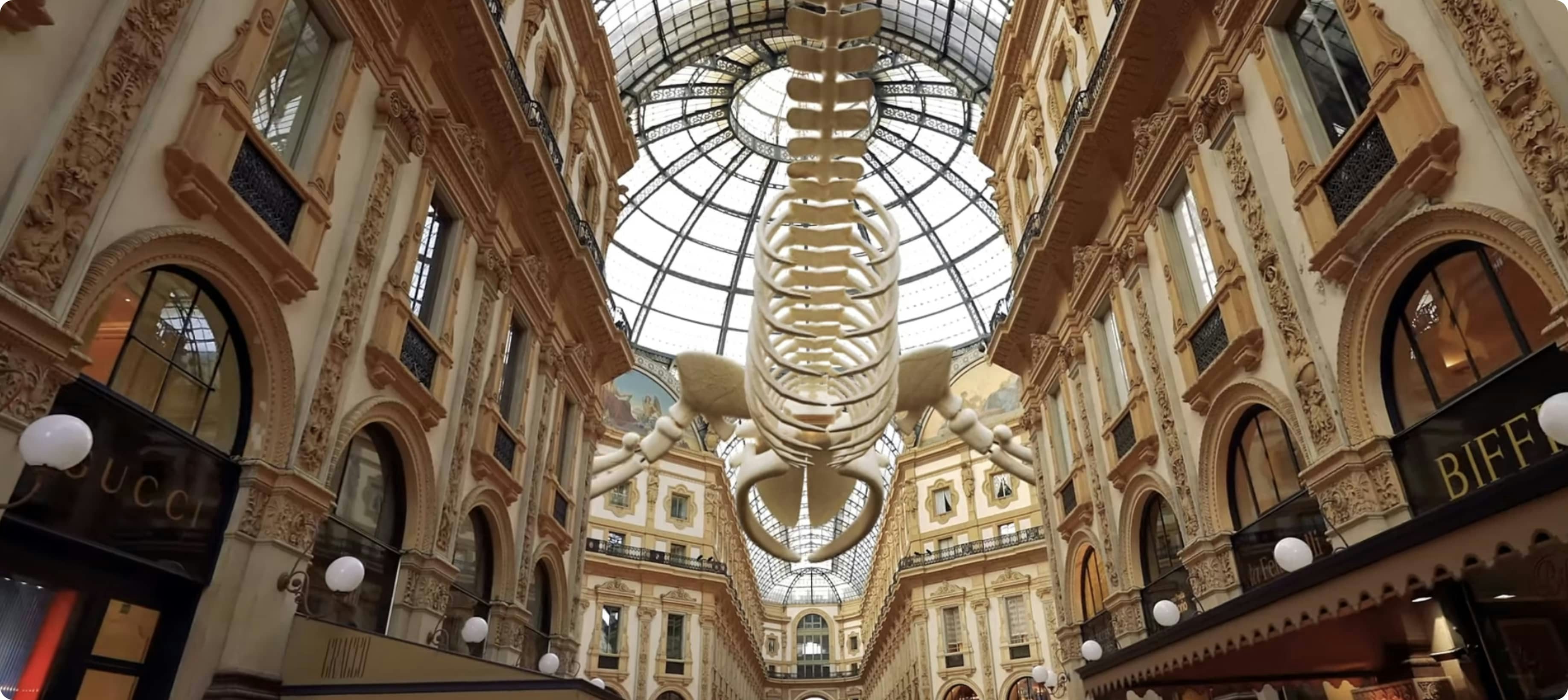 Una balena a Milano? È il FOOH!