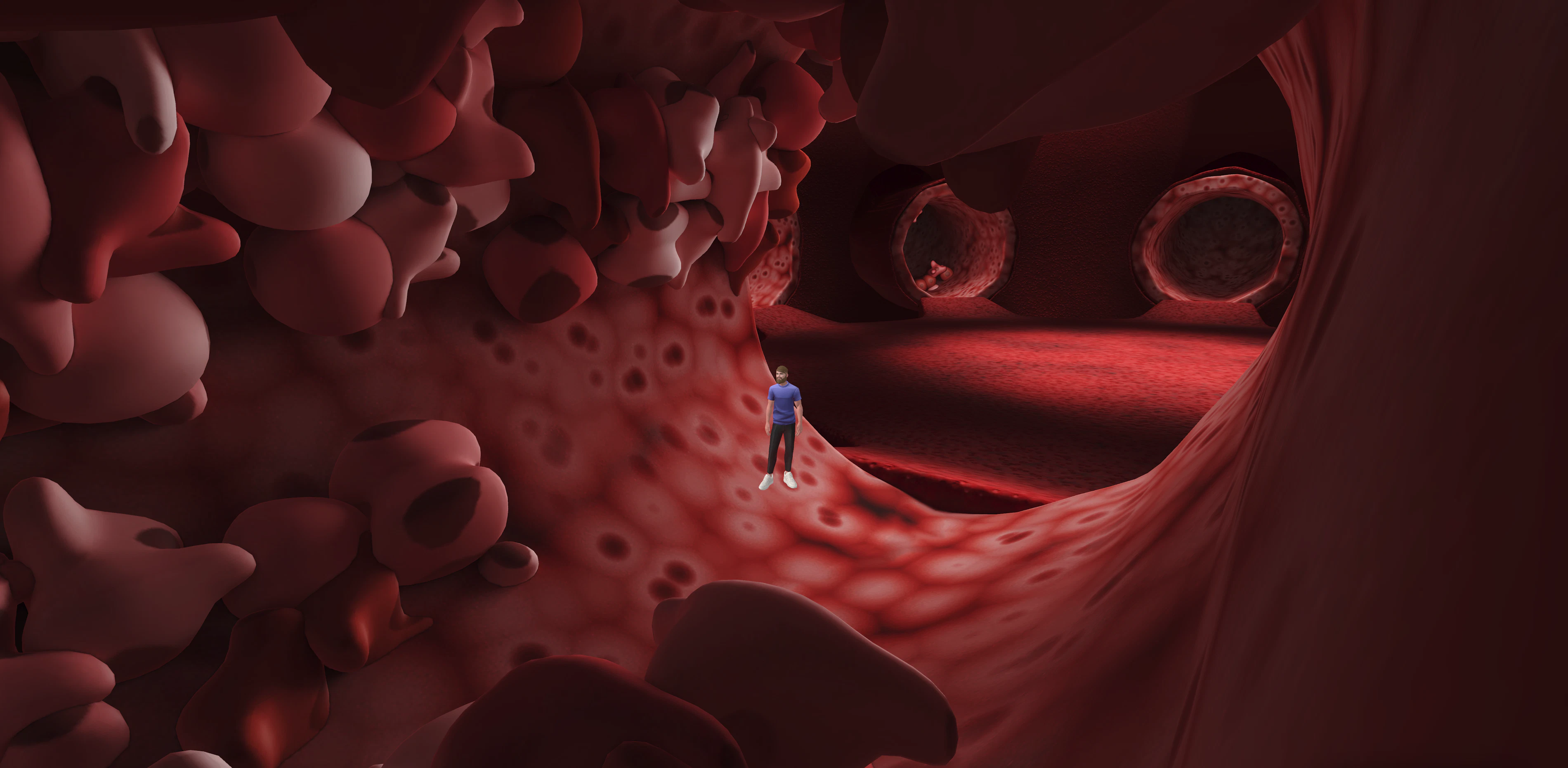 Virtual Health