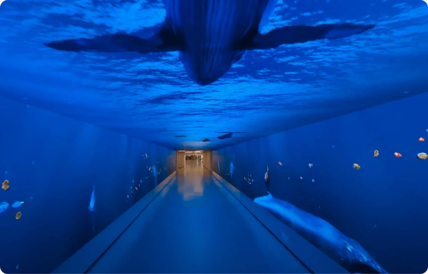 <p>I&deg; Classificato Branded Content</p> <p>The Gallery Immersive Experience</p>