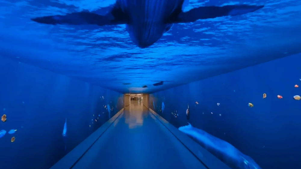 Immersive Room