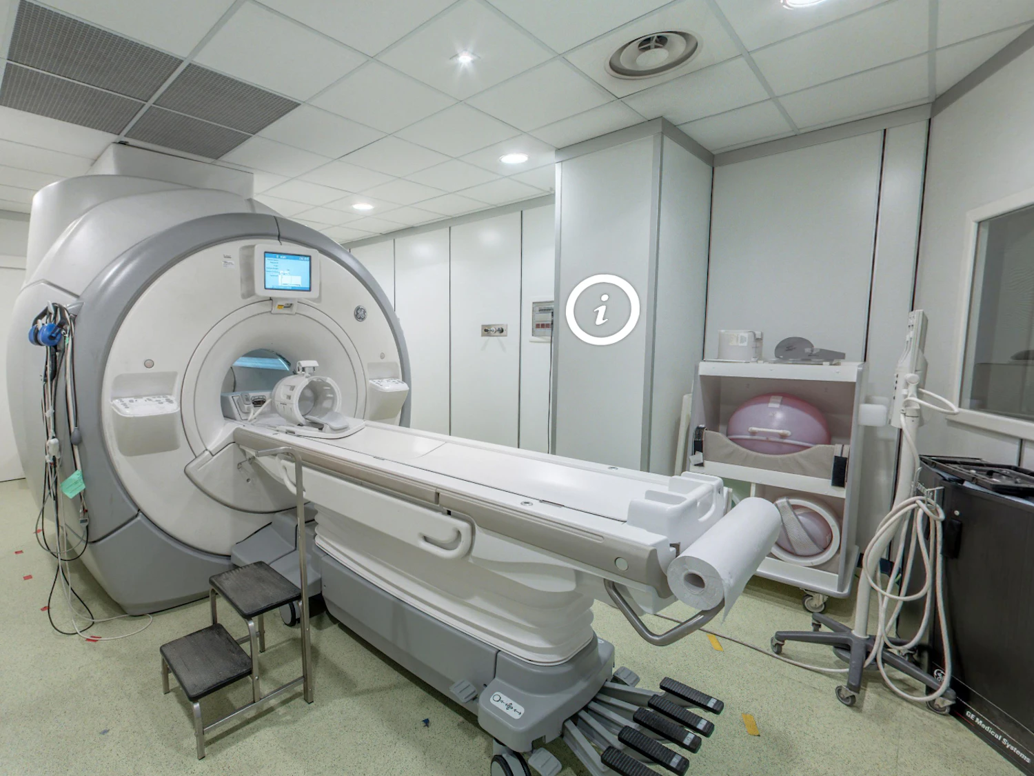 Istituto Auxologico Italiano