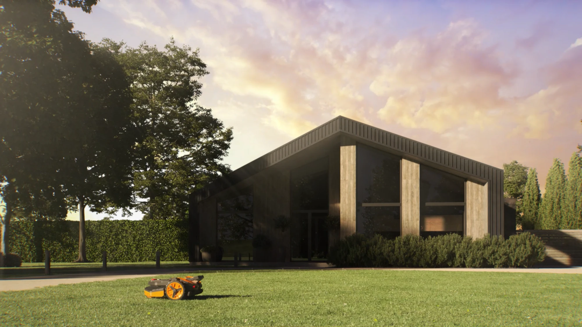 Worx Vision