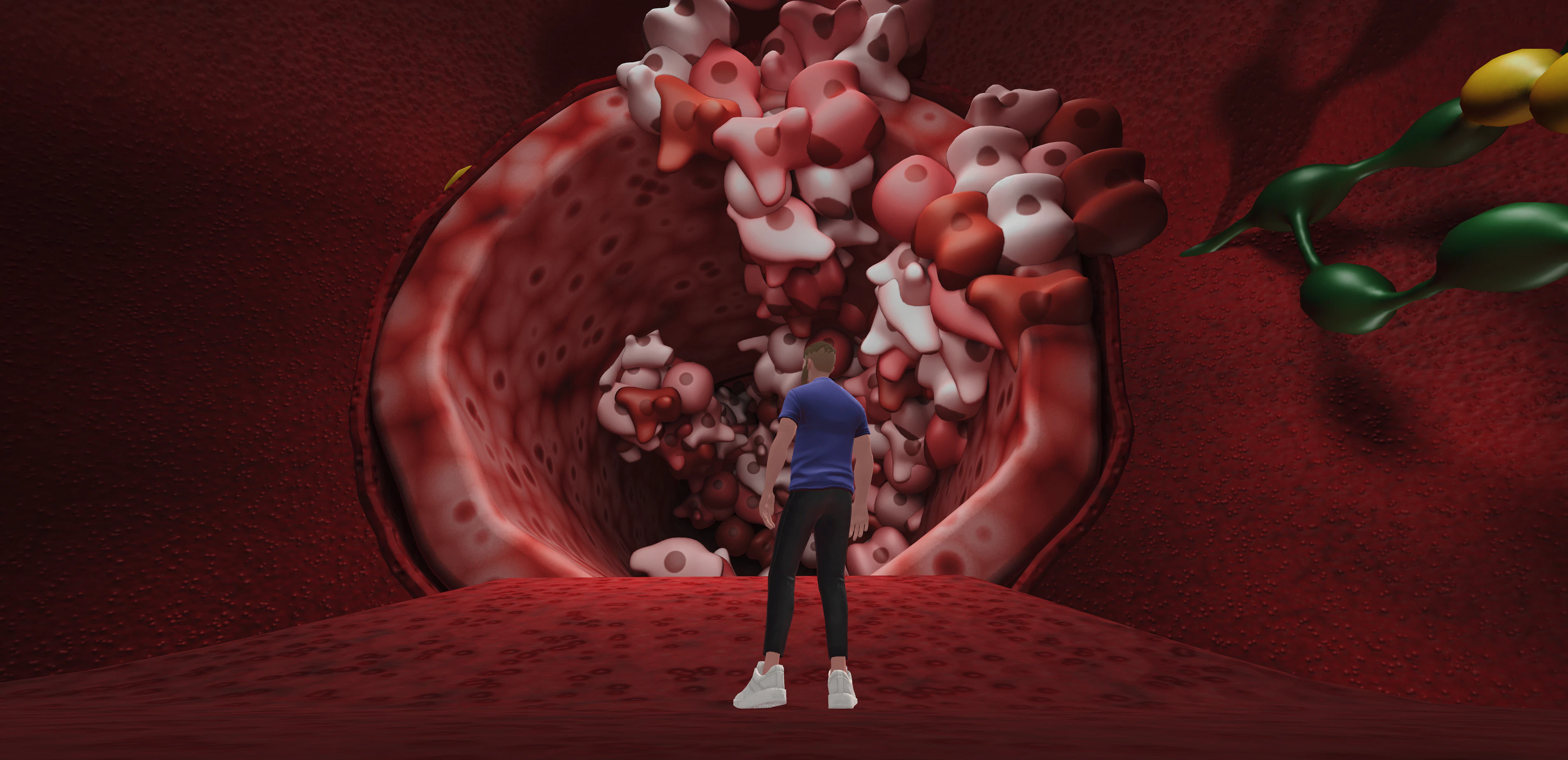 Virtual Health