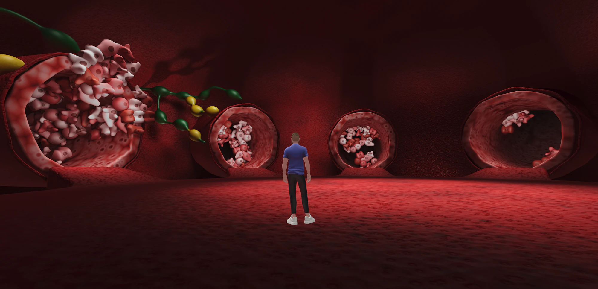 Virtual Health
