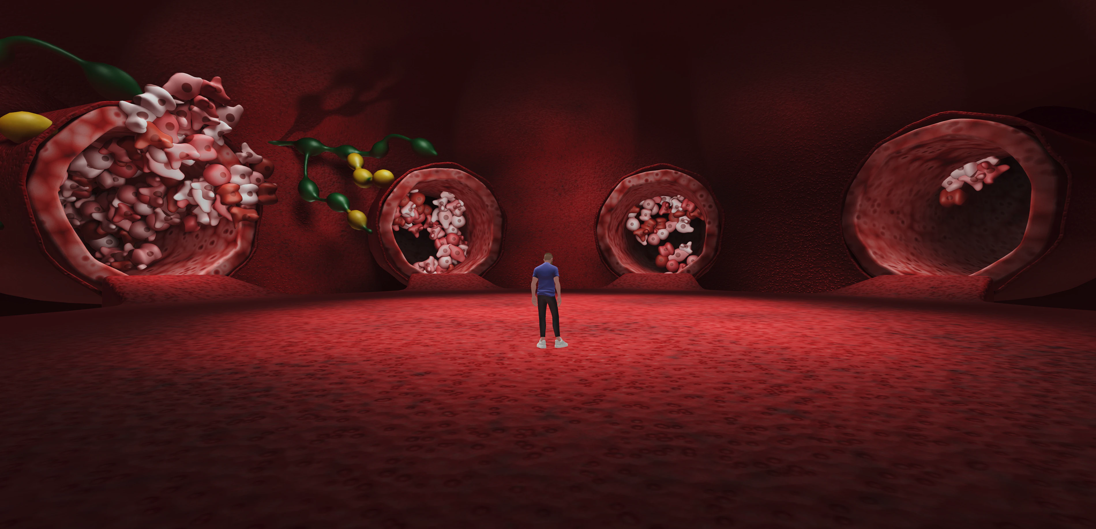 Virtual Health