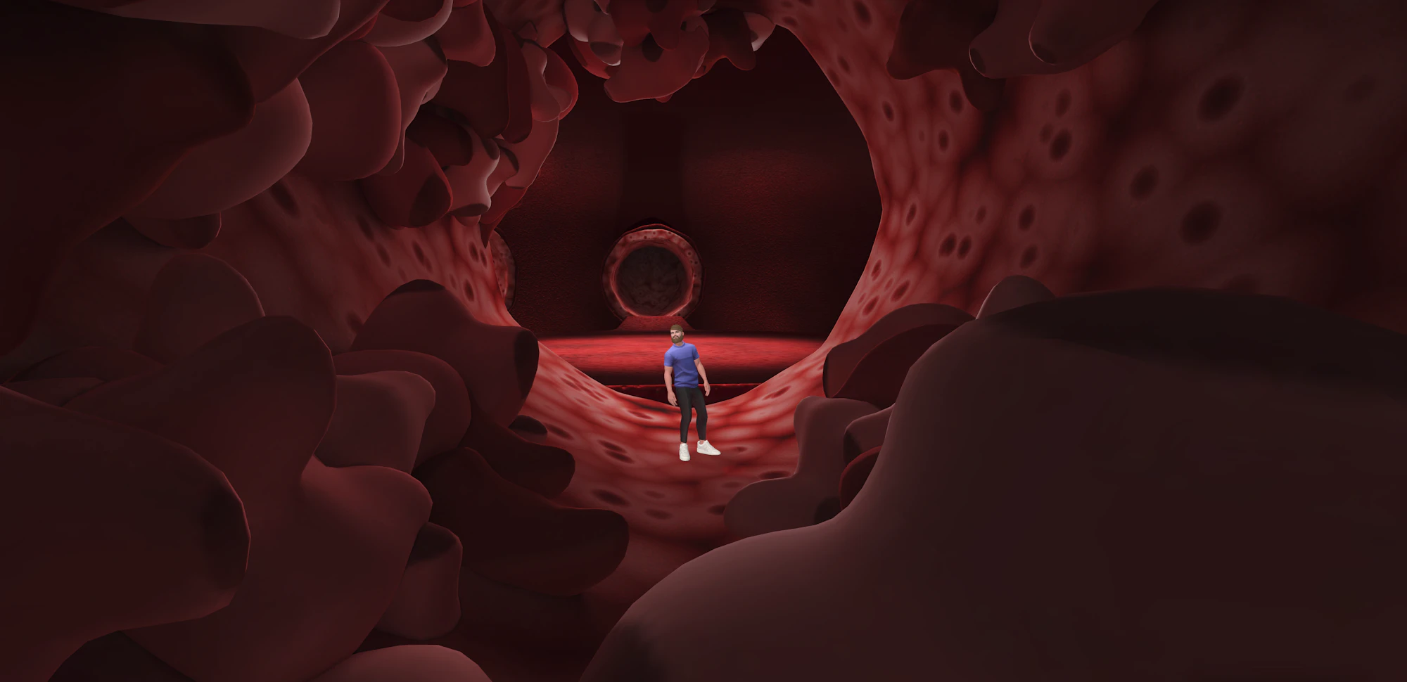 Virtual Health