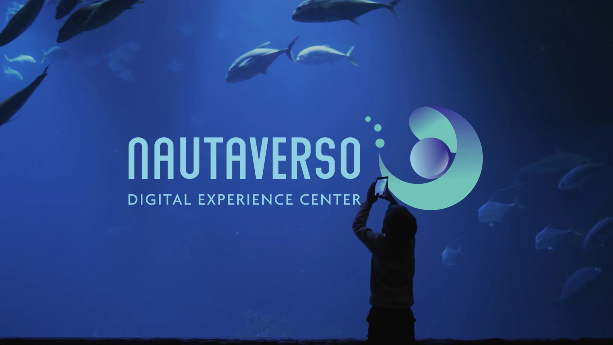 Nautaverso