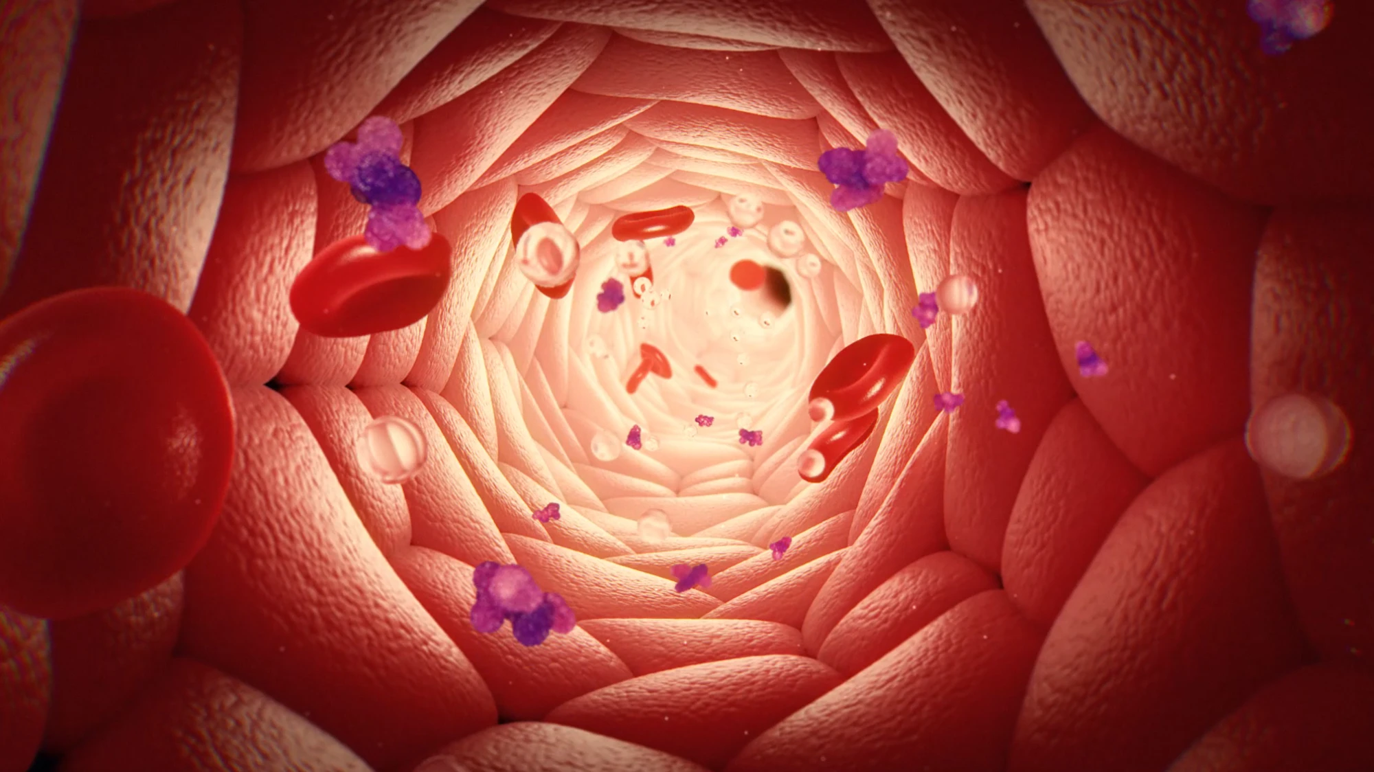 Nutriresearch