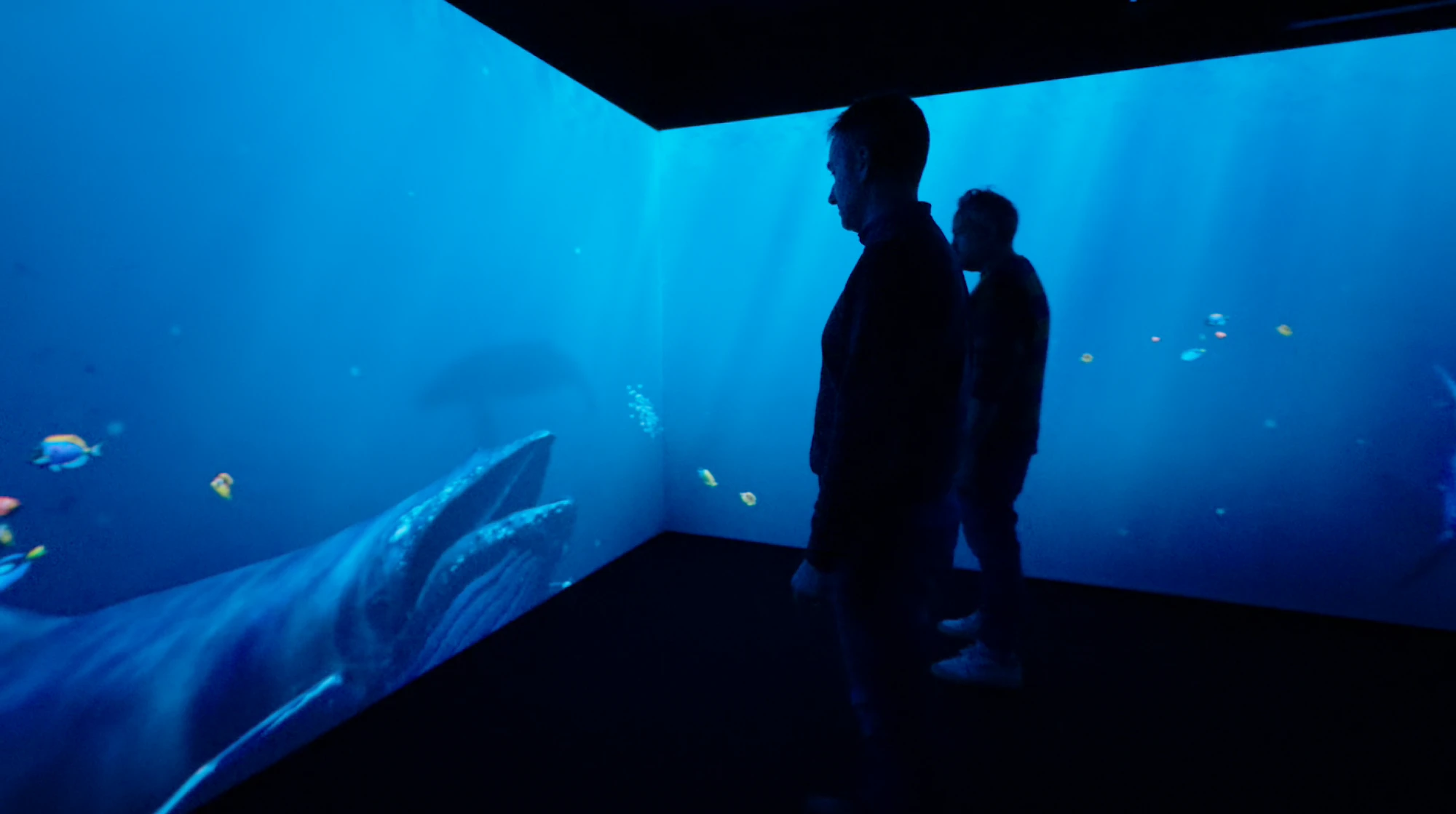 Immersive Project