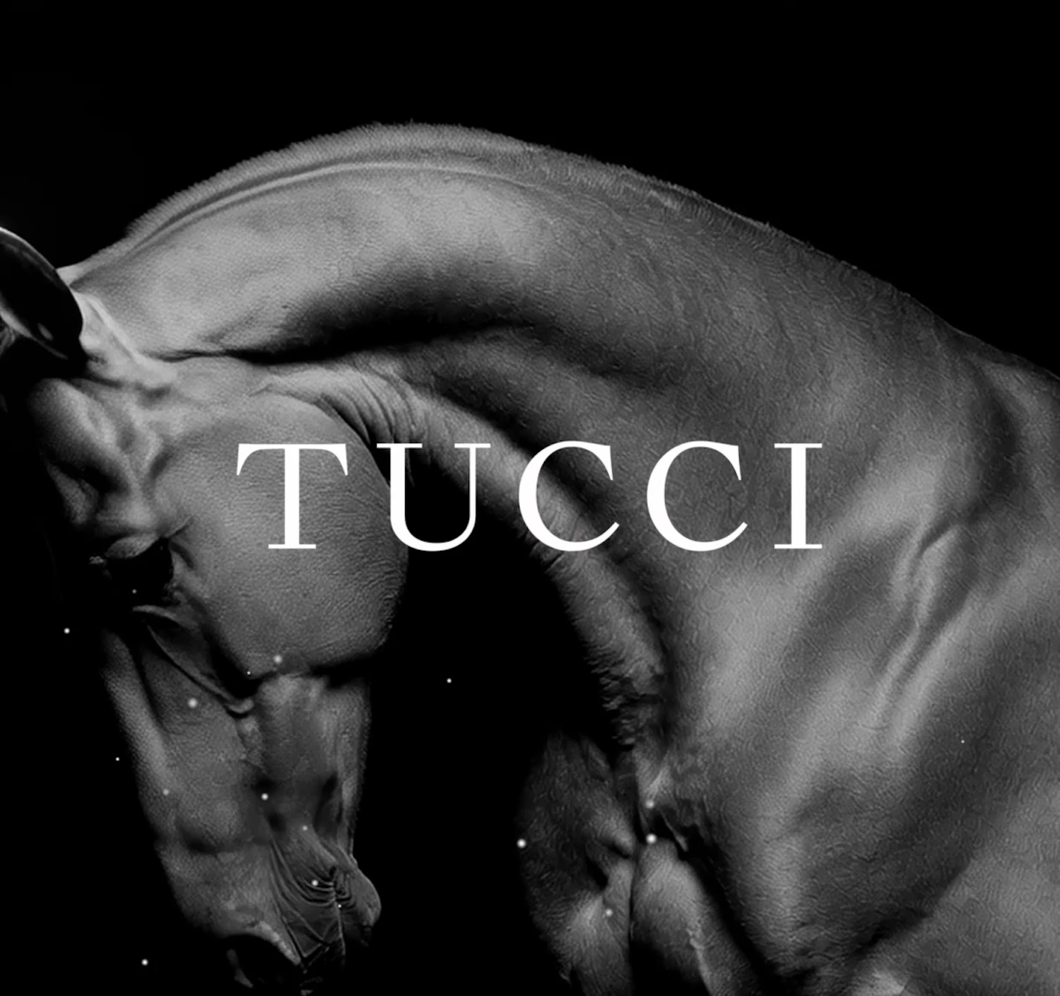 Tucci
