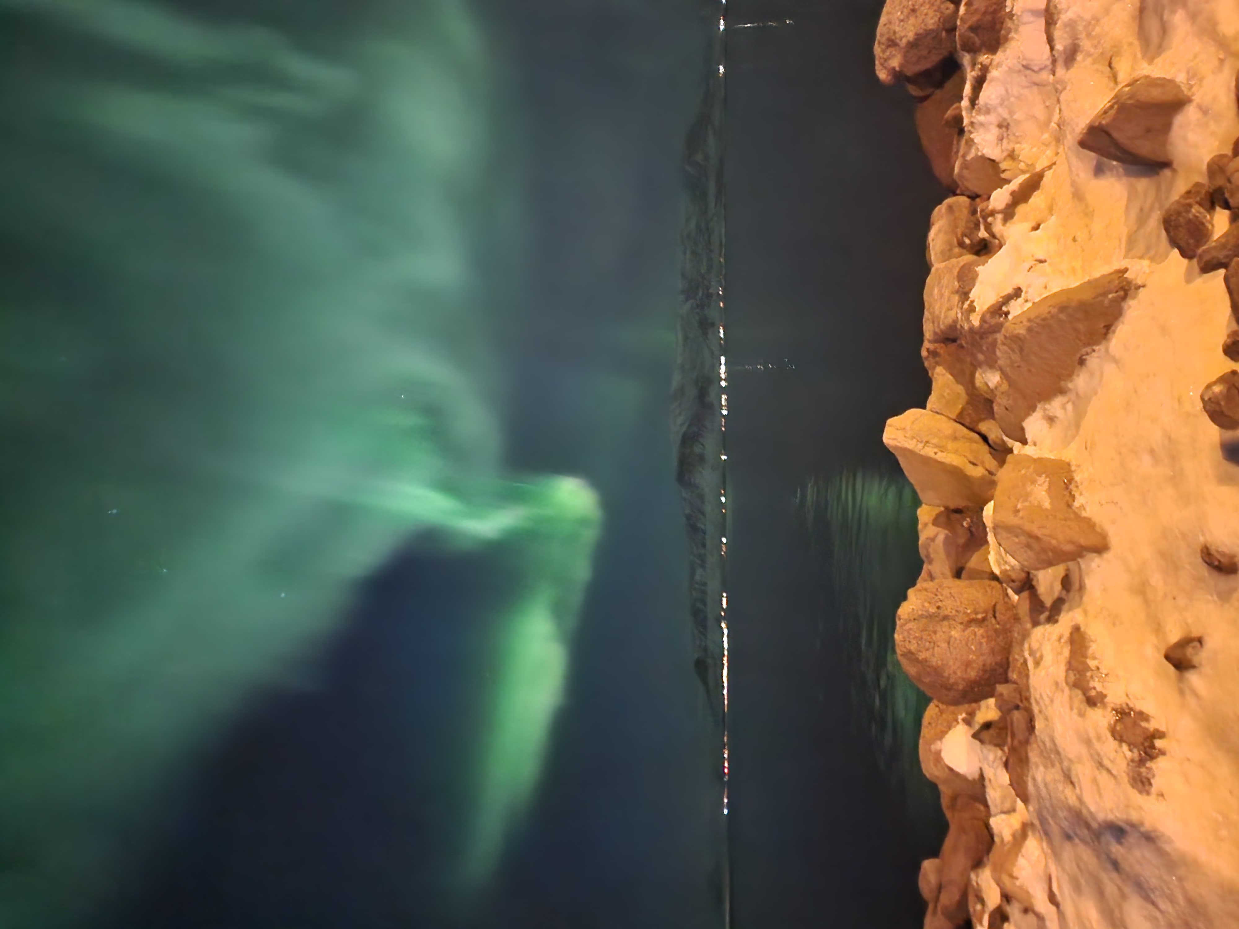 Northern lights