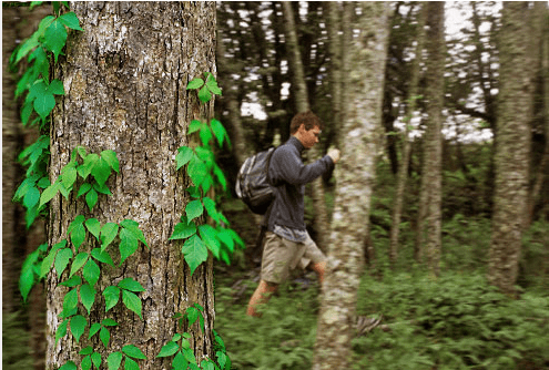 man hiking