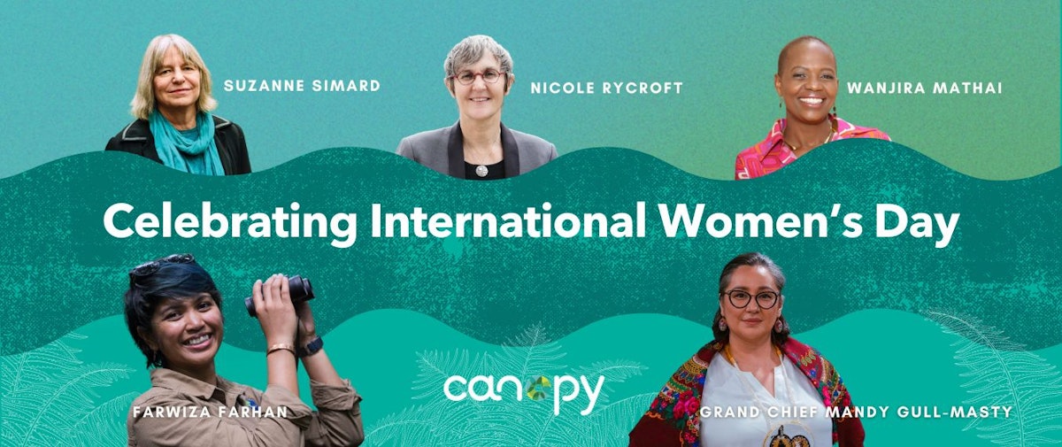 The Power of She: Women Leading the Fight Against Climate C… | Canopy