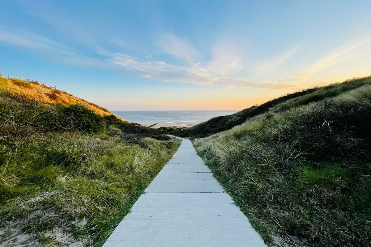 Hero image for article 'What next? Pathways to staying in Australia after your English course'