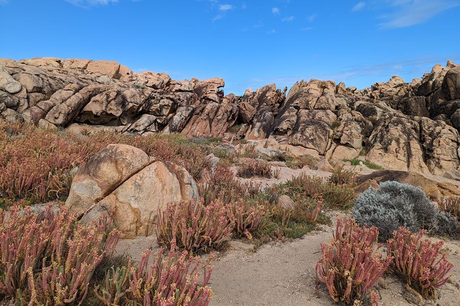 Margaret River Paisaje en Margaret River