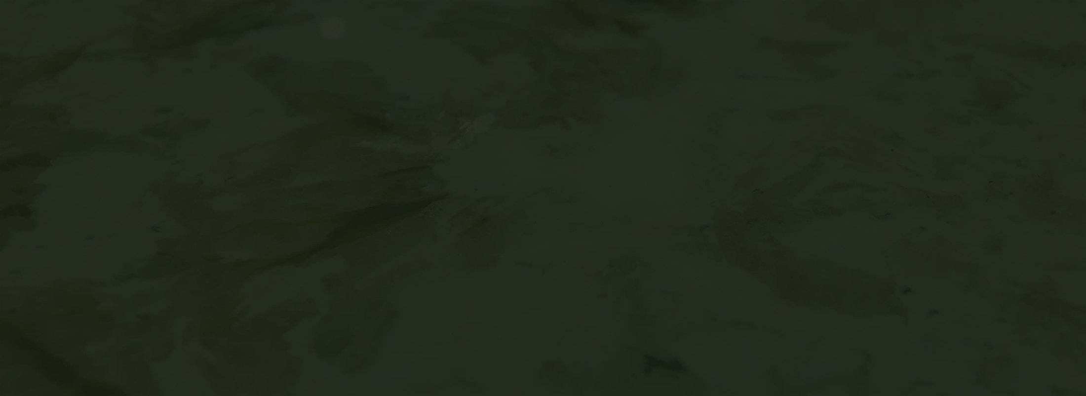 Banner media