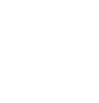American Board of Plastic Surgery logo