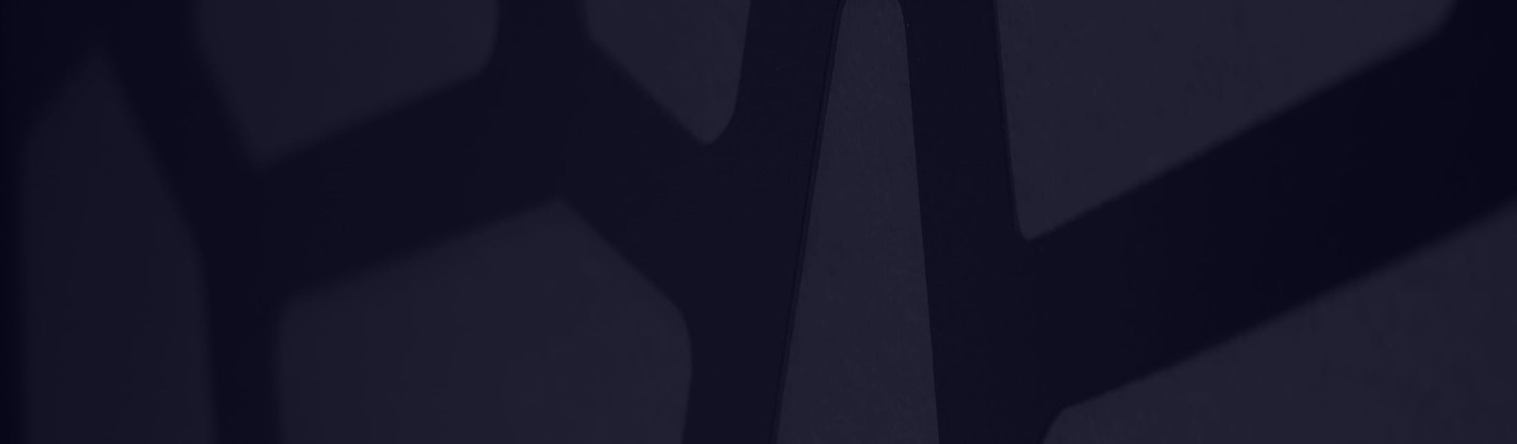 Hero background media