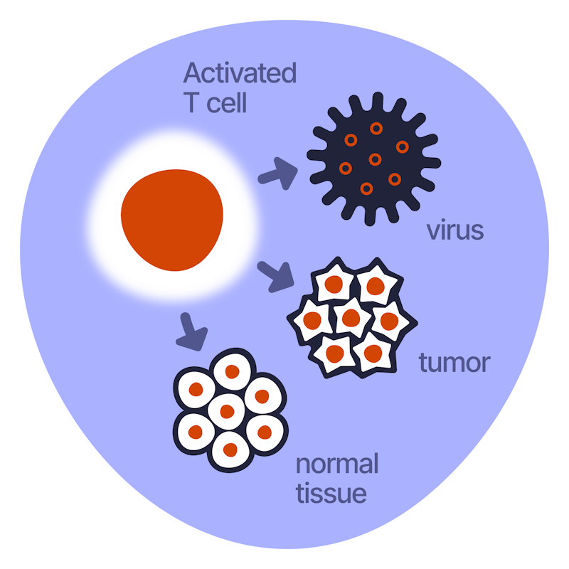T-Cell Defence