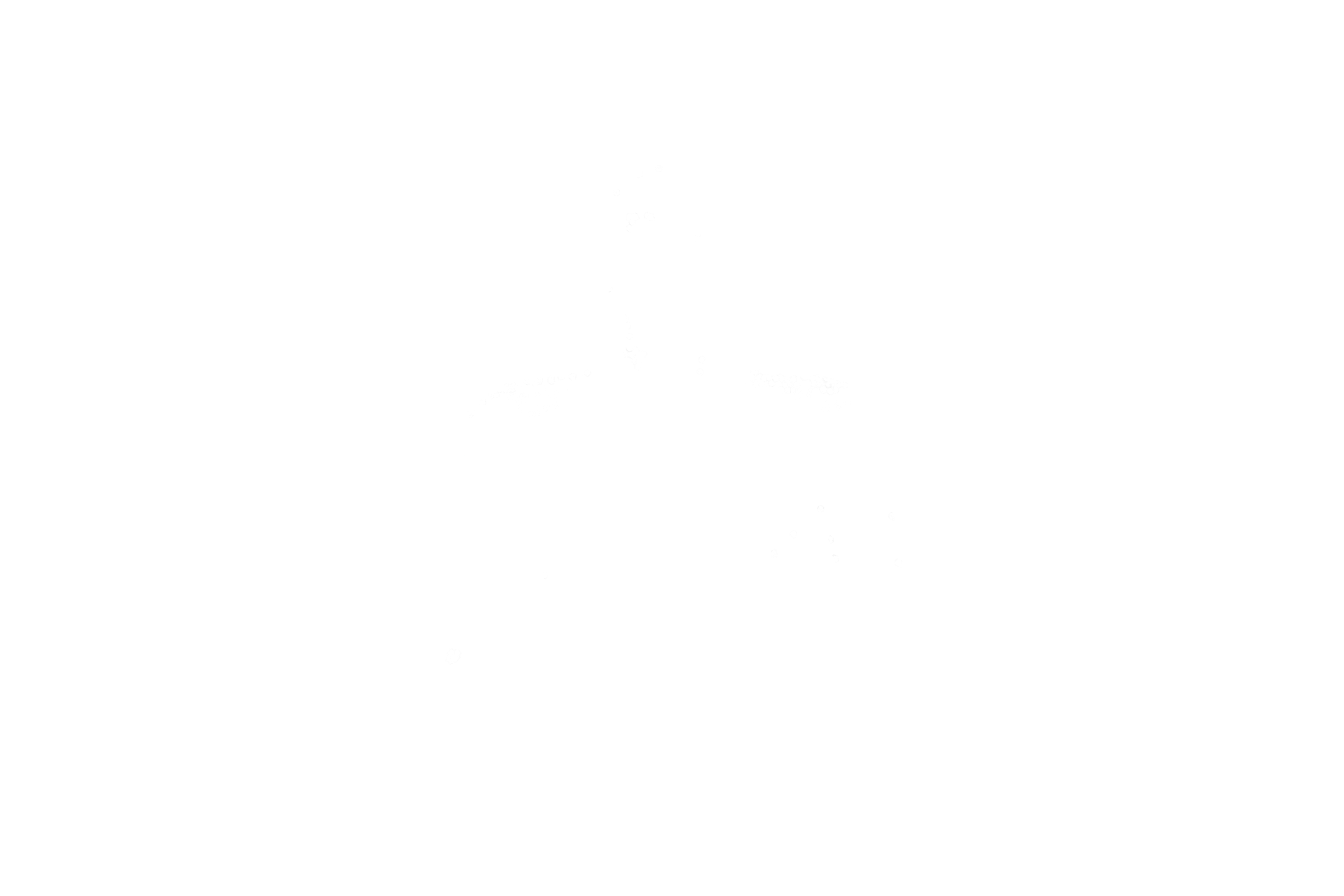 Human