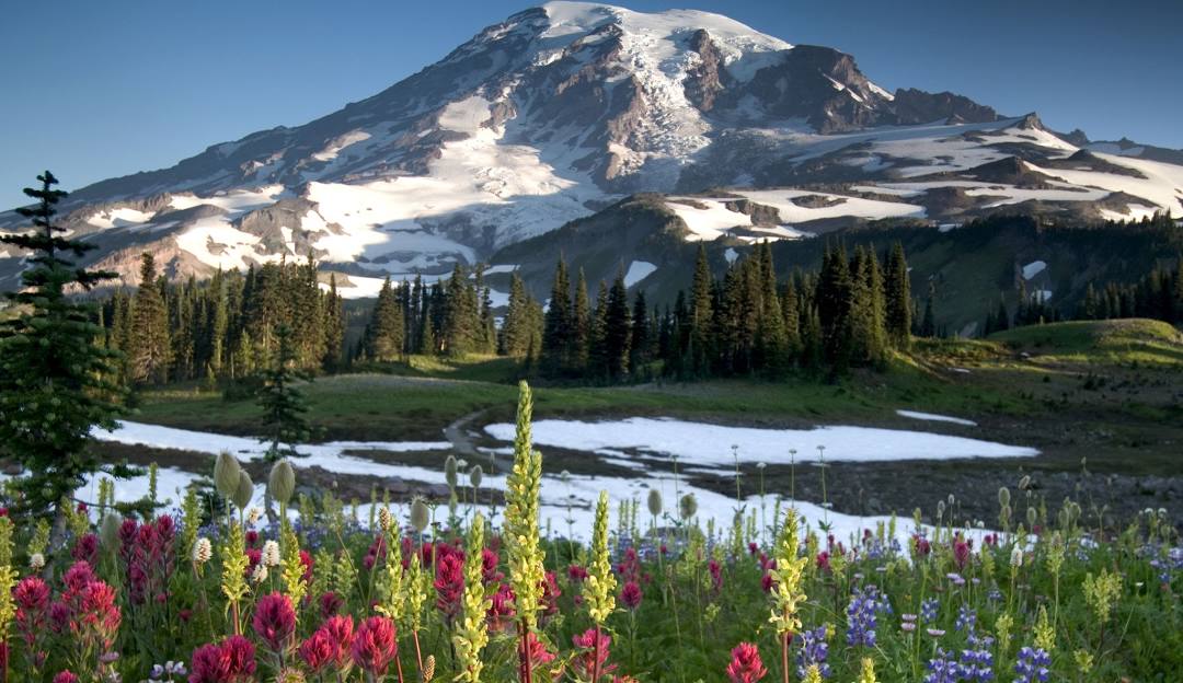 Mount Rainer - Travel destination