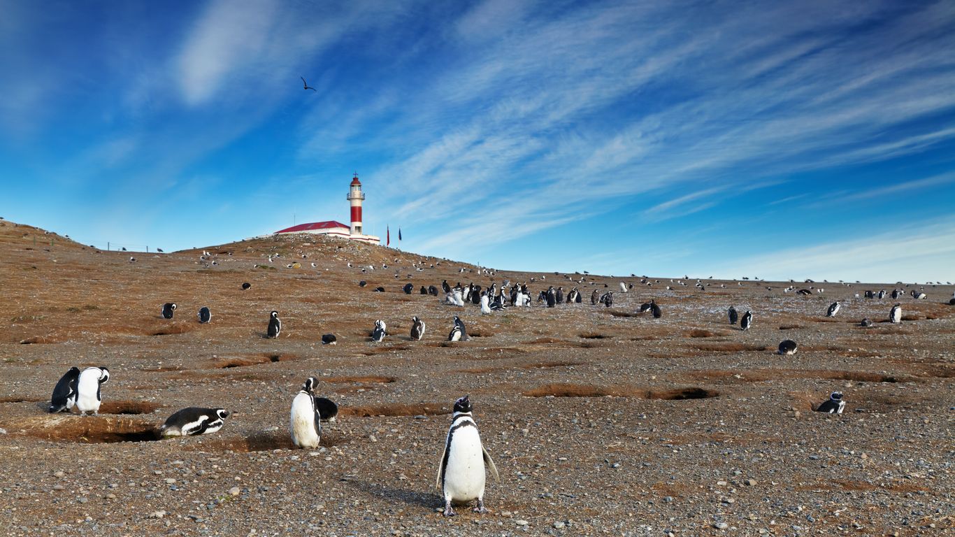 Take a $1/day roadtrip across Chile from Atacama to Patagonia. Explore deserts, volcanoes, and Torres del Paine on this once-in-a-lifetime trip with Imoova.