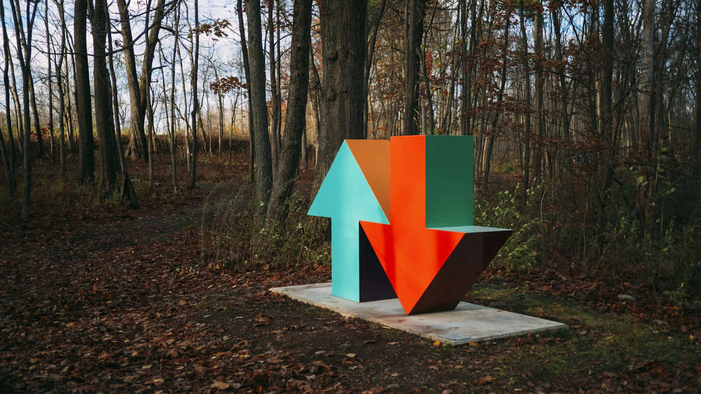 red and blue arrow sign surrounded by brown trees