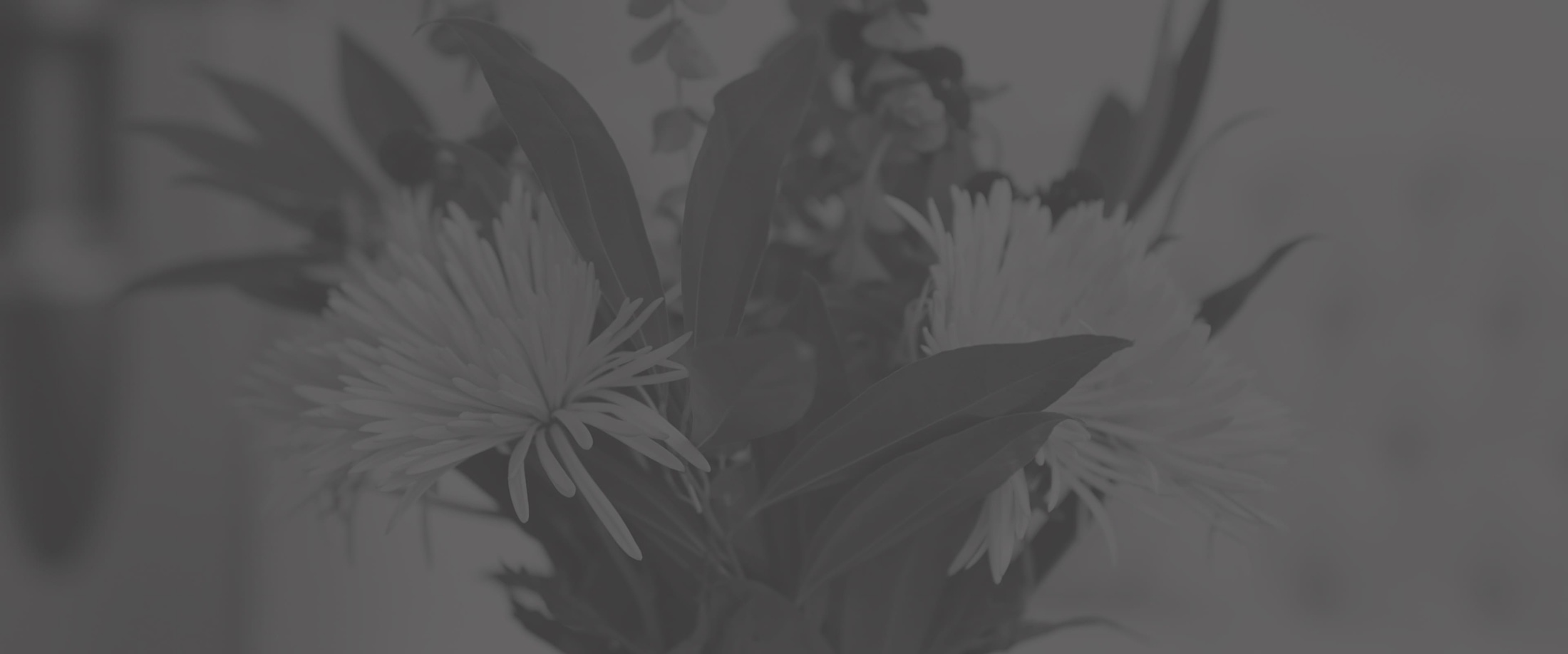 Banner media