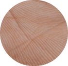 Main treatments icon