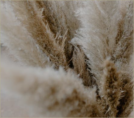 Skin texture media