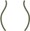 Stubborn fat icon media