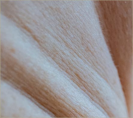 Tighten skin media