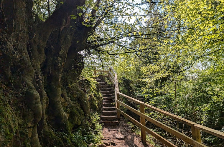 Hiking Trails at Symonds Yat Rock