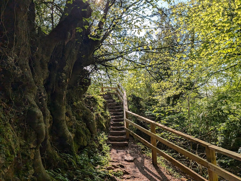 Hiking Trails At Symonds Yat Rock Hiking Trails At Symonds Yat Rock