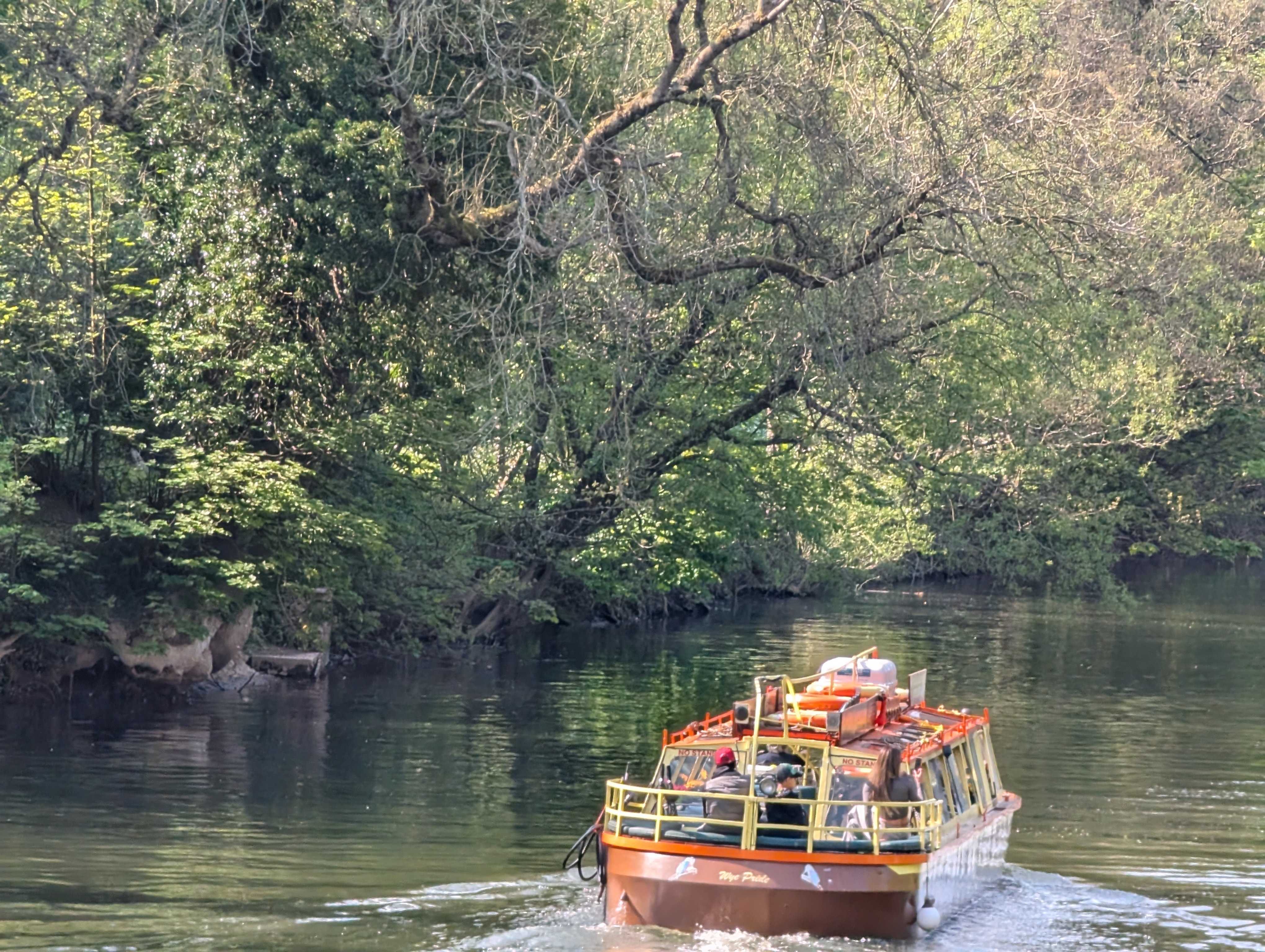 Kingfisher Cruise Leaving Dock