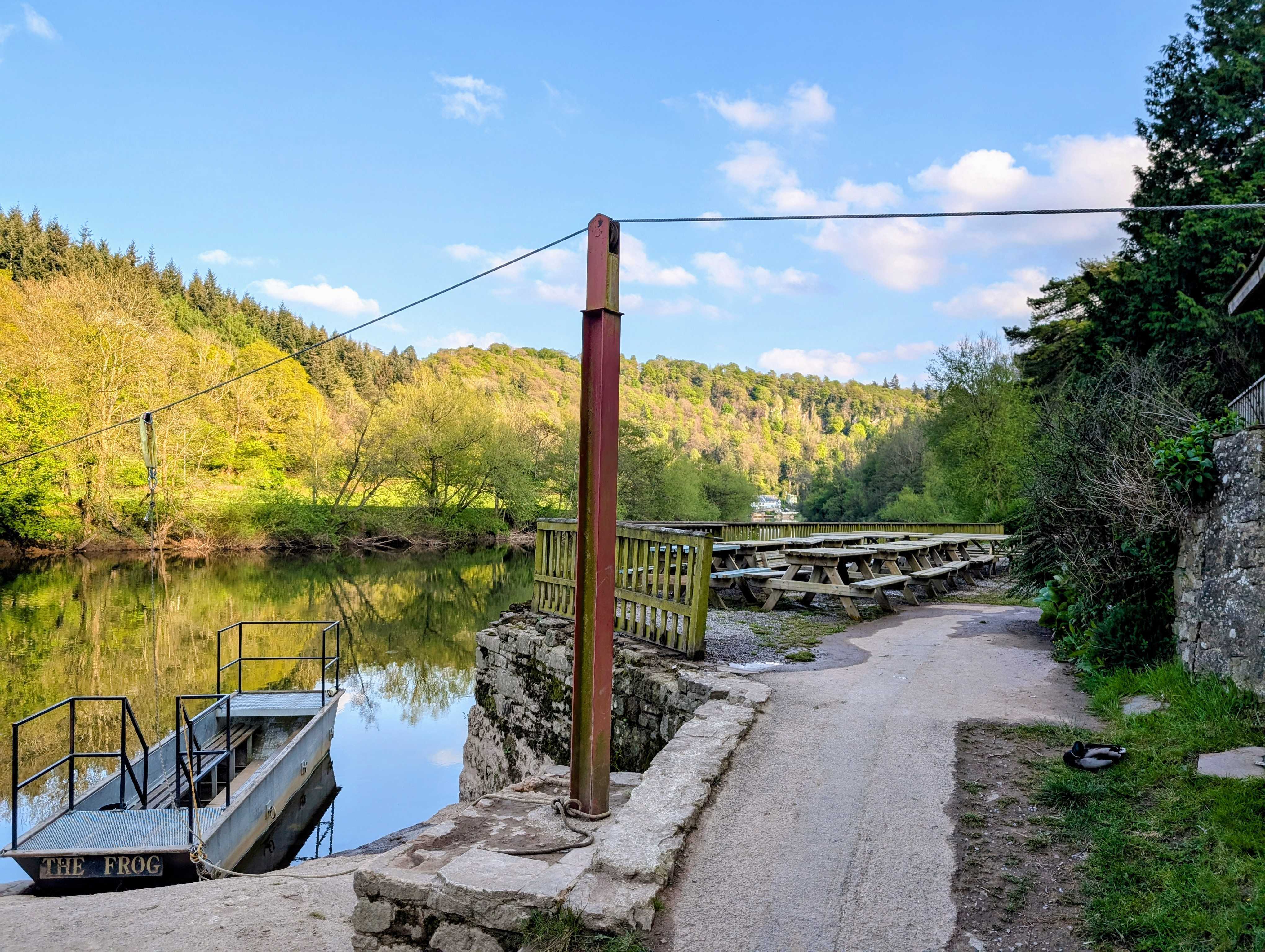 Ye Old Ferrie Inn The Frog