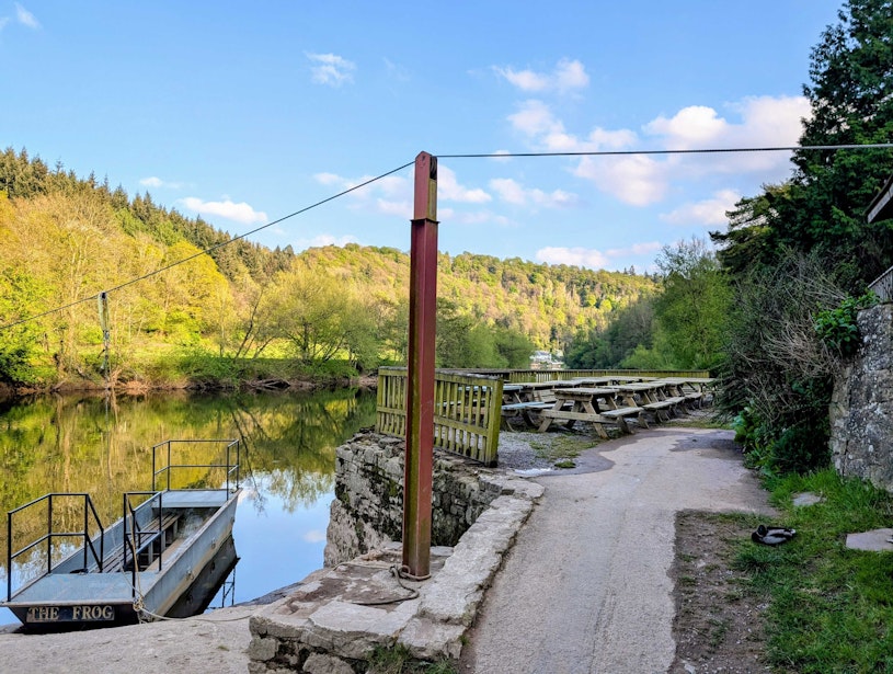 Ye Old Ferrie Inn The Frog